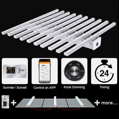 High Ppfd Grow Light 10 Strip For Indoor