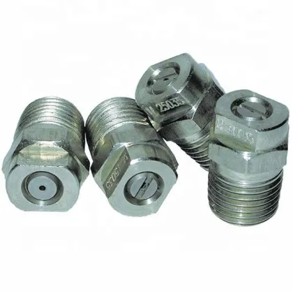 LECHLER MEG 1/4 Inch Stainless Steel Nozzle for Pressure Washer