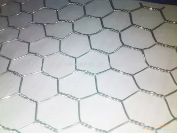 Hexagonal Wire Mesh for chicken
