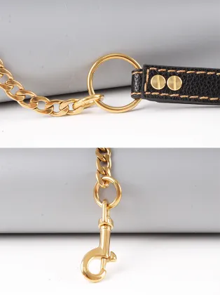 Adjustable Stainless Steel Chain Dog Leash