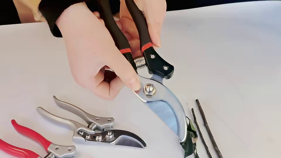 2021 Manufacturer Supply Stainless Steel High Quality Garden Shears Professional Hand Pruning Shears Heavy Duty Pruners