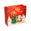 Christmas Xmas Holiday Gift Treat Bags