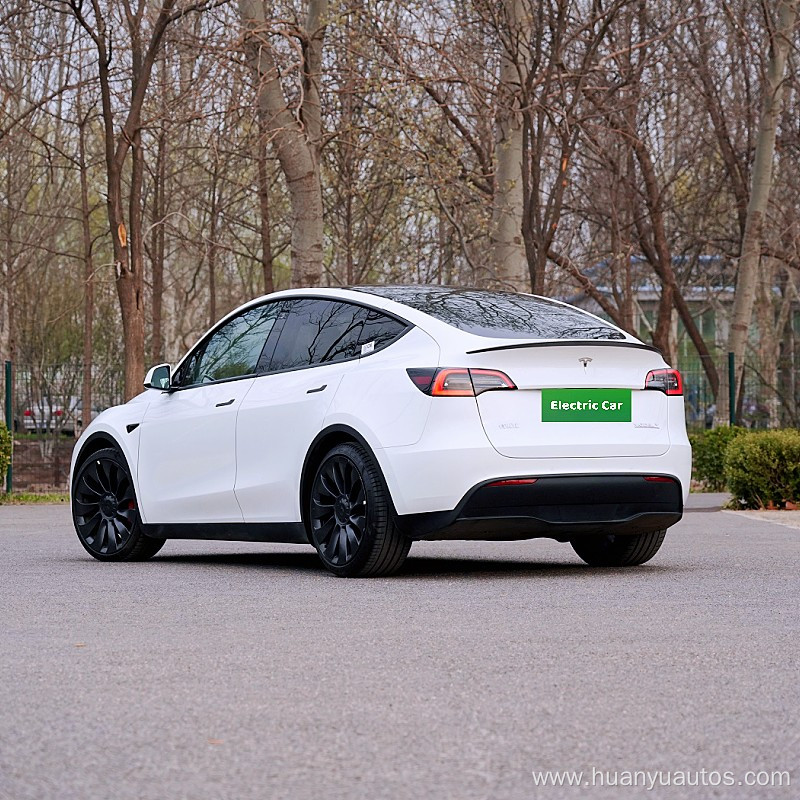 Pure electric SUV tesla model y