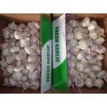 2020 High Quality Fresh Normal Garlic