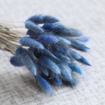 Every Love Factory Natural Plant Rabbit Tail Grass Dried Bunny Tail for Home Decoration