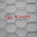 Galvanized Before Weaving Hexagonal Wire Netting for Bird