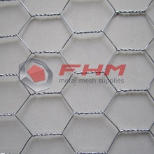 Galvanized Before Weaving Hexagonal Wire Netting for Bird