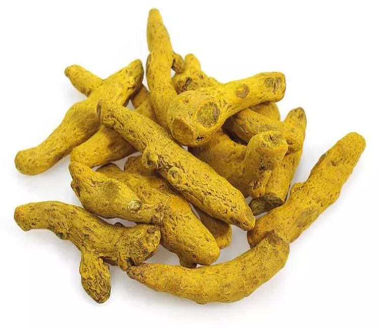 Turmeric Root Extract