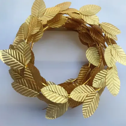 HLC Roman Laurel Wreath Girls' Princess Crown Cosplay Toga Headband