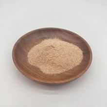 生体細菌、好気性および嫌気性細菌剤