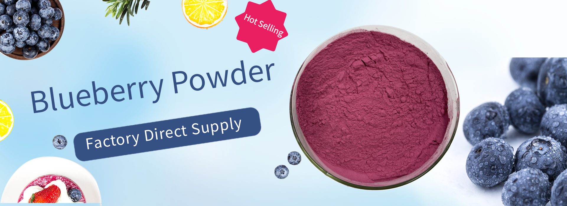 Best Powder Blueberry Good Price