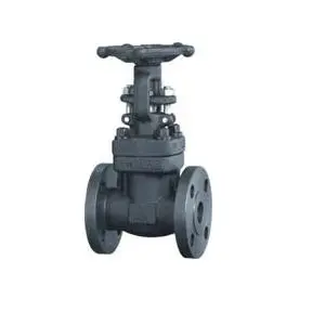 Forged Steel Socket Welded Gate Valve
