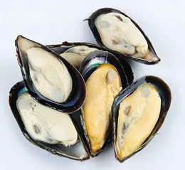Frozen Cooked Half Shell Mussels Online