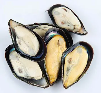 Frozen Cooked Half Shell Mussels Online