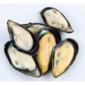/msite/products/detail/productid/66477542/id/1515137.html