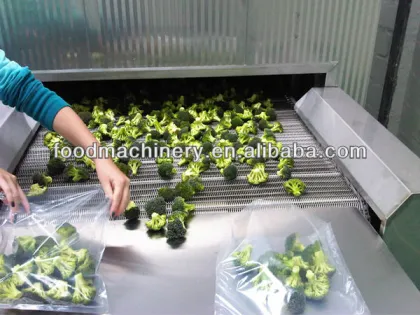 tunnel freezer for food