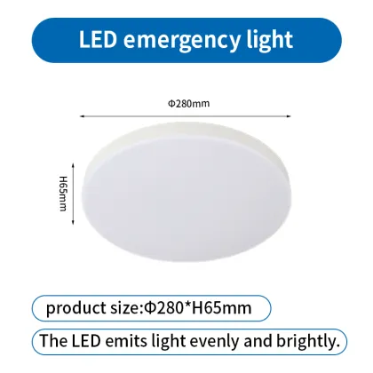 Led Emergency ceiling light