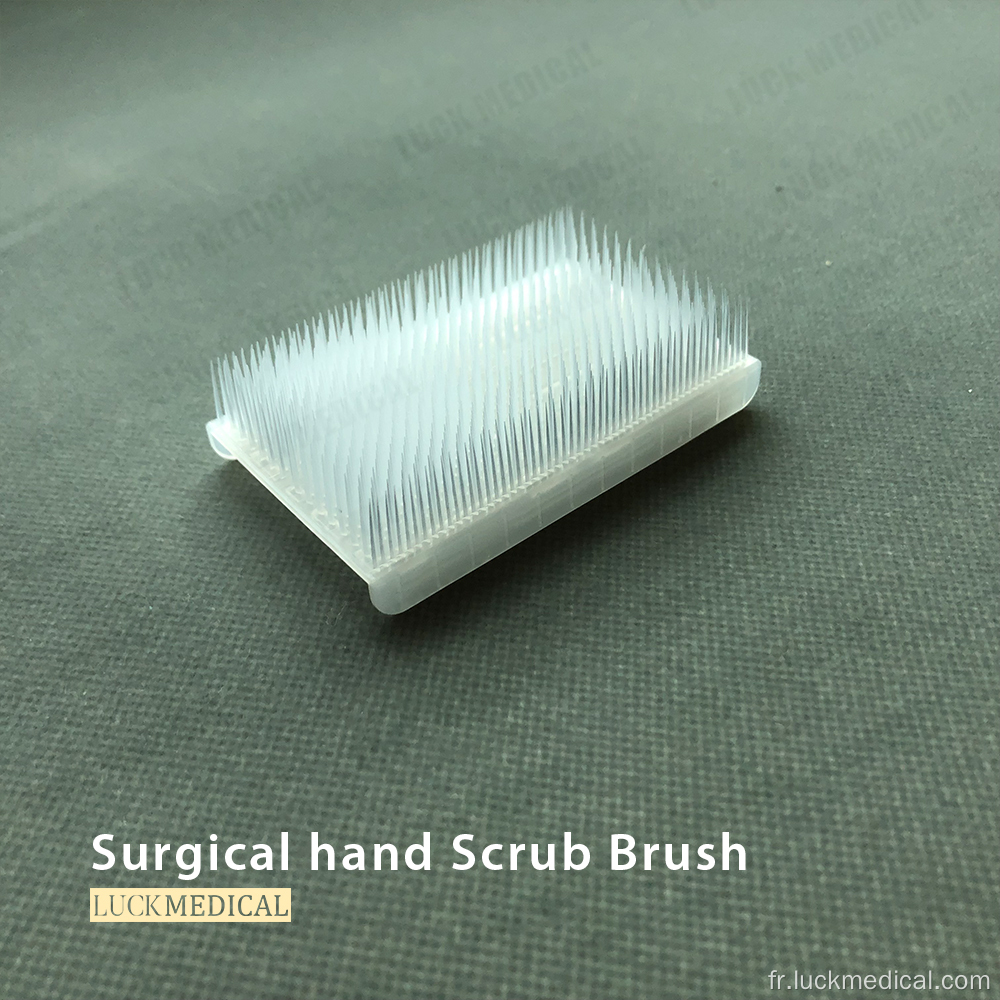 Brosse à bragile à main en plastique Utilisation unique