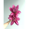 বেগুনি লোটাস ডাবল লিলি