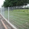 Powder Coated Welded Wire Mesh Fencing