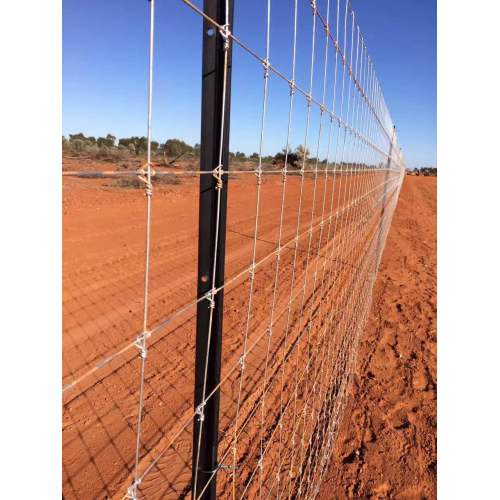 Pig wire mesh for Austrlia market