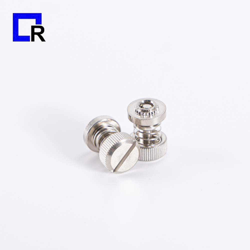 Slotted Screws