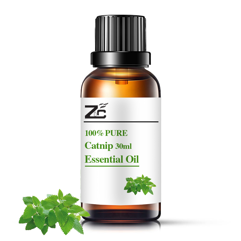 Óleo essencial de catnip 100% de óleo puro