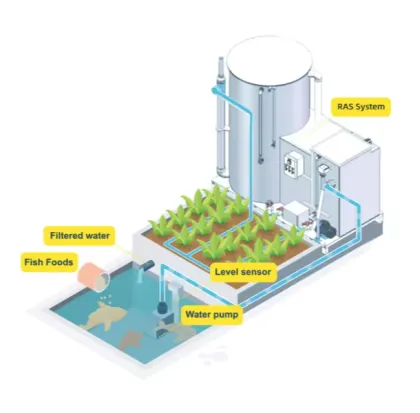 Indoor Mini Ras Systems Fish Farming