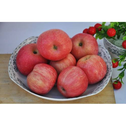 Nueva manzana Fuji barata fresca con alta calidad