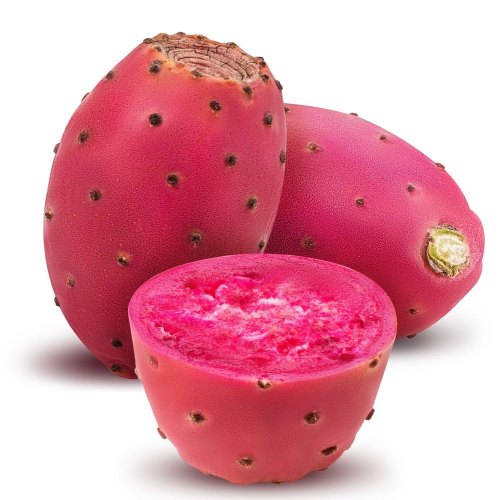 High Quality Cactus Extract Powder