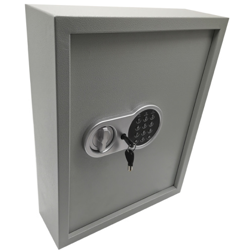 Wall Mount Key Cabinet for Hotels & Offices