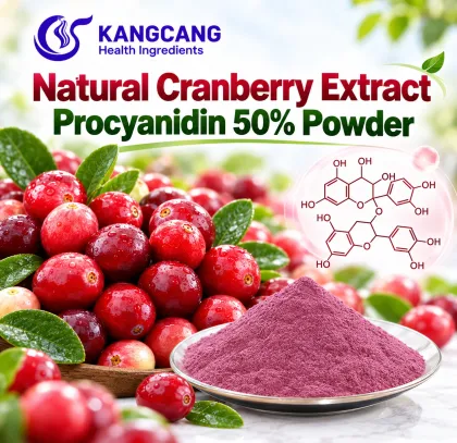 Natural Cranberry Extract Procyanidin 50% Powder