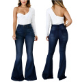 High Waisted Classic Flared Denim Pants