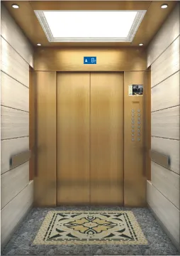 Stainless Steel Passenger Elevator With Best Price