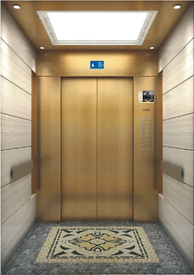 Stainless Steel Passenger Elevator With Best Price