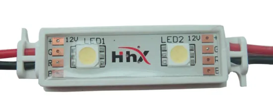 2 LED module (PVC housing)