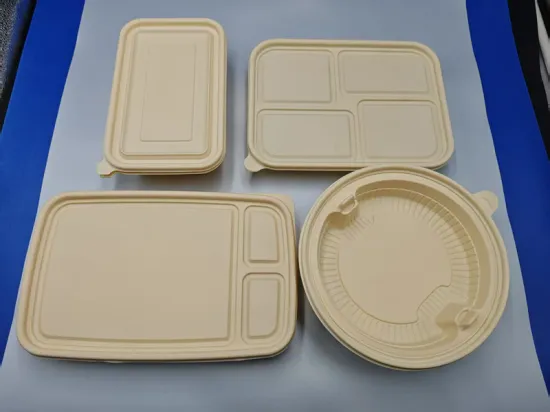 Corn biodegradable disposable packaging box