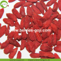 Factory Bulk Natural Packing Wolfberries