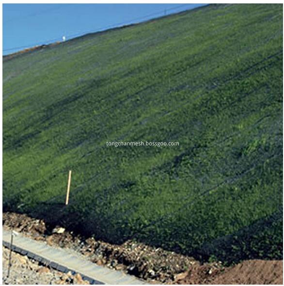 Pendiente Erosion Control Mat Red de plástico