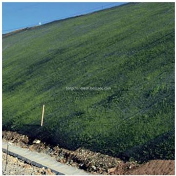 Pendiente Erosion Control Mat Red de plástico