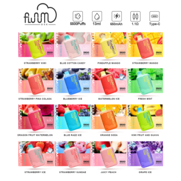 5500 Puffs Fluum Bar Wholesale Disposable Vape