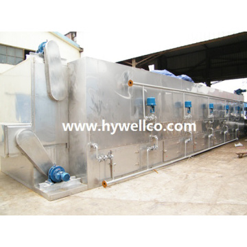 DW Series Continuous Mango Drying Machine