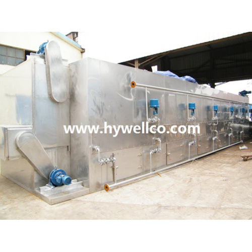 DW Series Continuous Mango Drying Machine