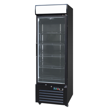 Commercial Single Glass Door Vertical Freezer Fridge Upright Cooler