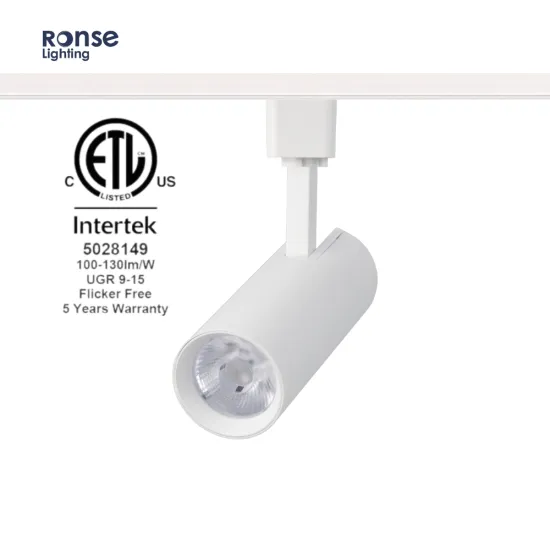 RONSE Kits 2 Wires Lighting Track System Adapter - 3500K CRI97 Adjustable Beam High Bright Indoor Track Light