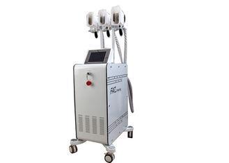 Cryolipolysis Vacuum Slimming Machine 3 Head For Body Shapp