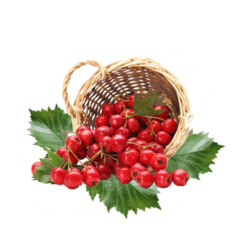 Lycium Berry Fruit Extract Hawthorne Leaf Extract Hawthorn Total Flavones Flavonoids Factory