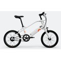 Mini Electric Bike 20 Inch