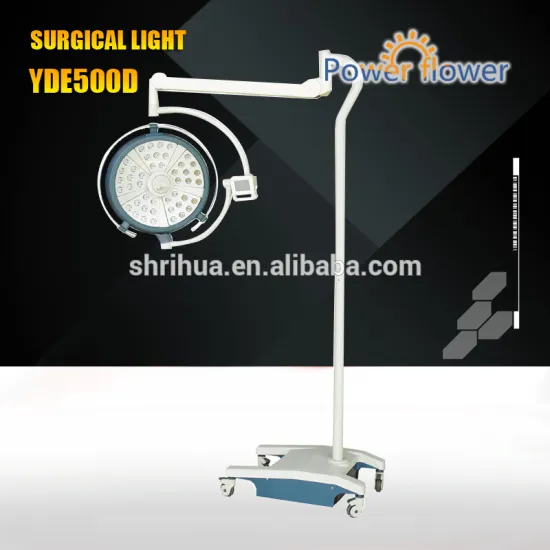 CE,ISO portable dental light