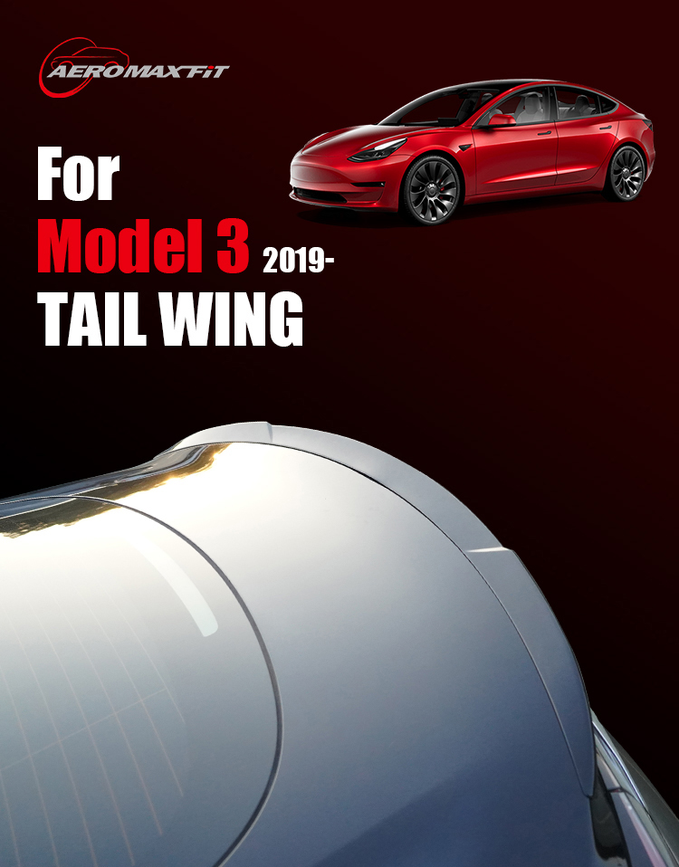 1_01Tesla Model 3 tail wing